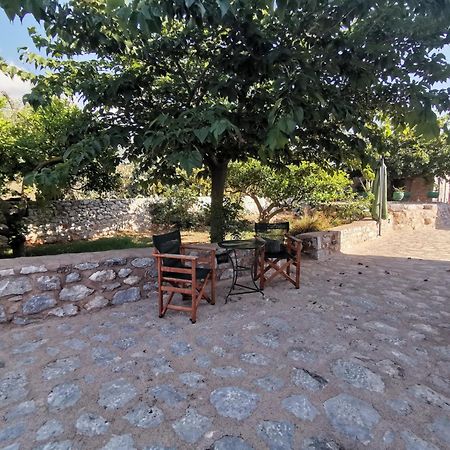 Guesthouse Toxotis Pírgos Dhiroú Dış mekan fotoğraf