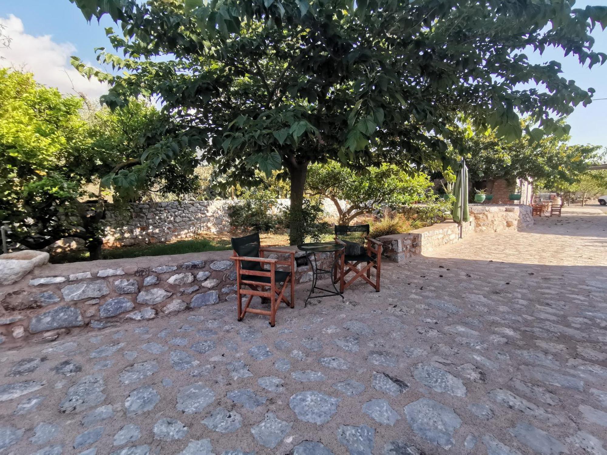 Guesthouse Toxotis Pírgos Dhiroú Dış mekan fotoğraf