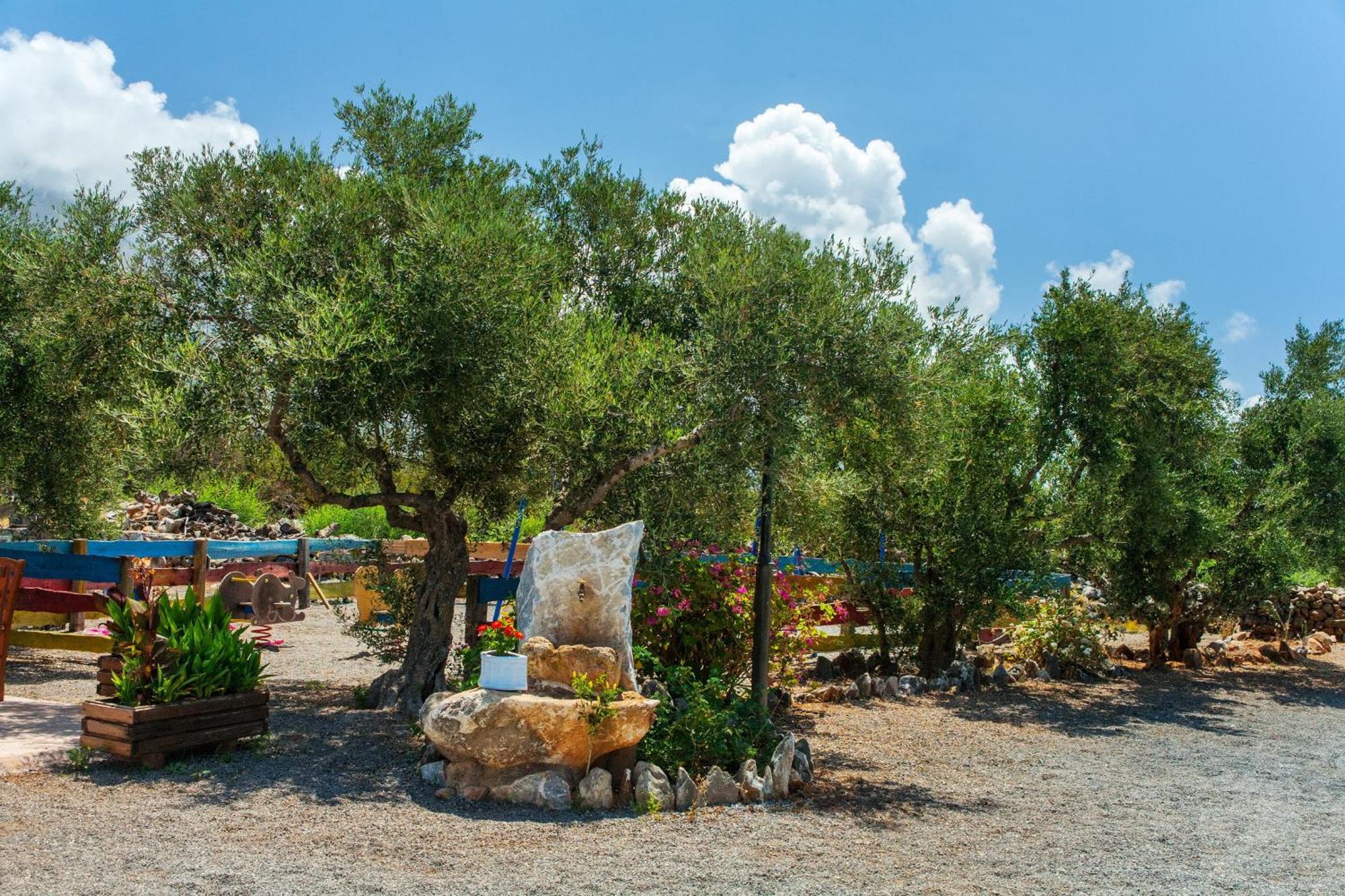 Guesthouse Toxotis Pírgos Dhiroú Dış mekan fotoğraf